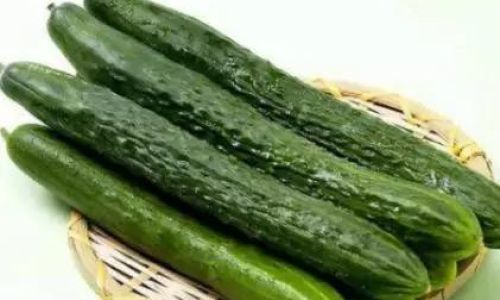Preserving the Freshness of Cucumbers:Tips and Techniques