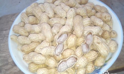 How to Boil Fresh Peanuts to Perfection