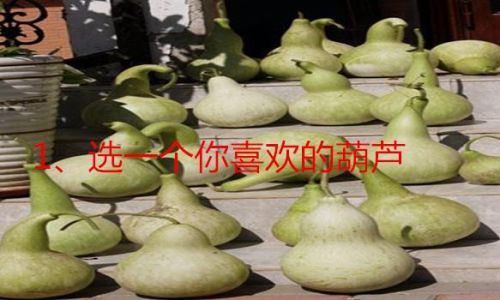 The Art of Drying Fresh Gourds:Preserving Natures Bounty