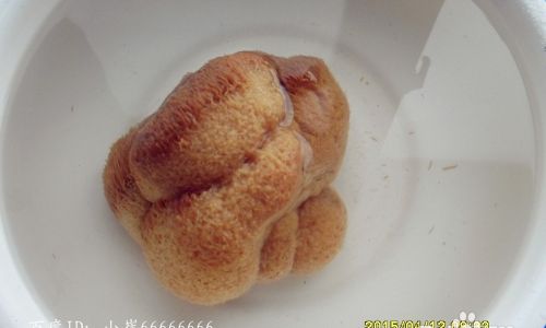 Cooking Fresh Hericium Erinaceus Mushrooms:Unlocking Culinary Delights