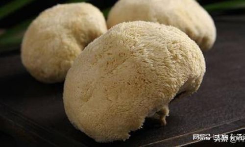 Exploring the Culinary Delights of Fresh Hericium Erinaceus:How to Enjoy This Exotic Mushroom