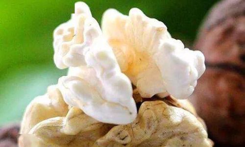 Preserving Fresh Walnuts:A Comprehensive Guide