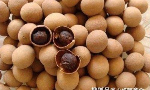 Preserving the Freshness of Longan:Effective Techniques and Tips