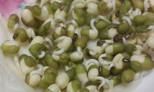 Can Fresh Sprouts Be Consumed After Being Left Overnight?