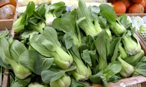 Preserving the Freshness of Newly Arrived Vegetables:Effective Strategies and Techniques