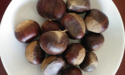 Mastering the Craft:How to Roast Chestnuts to Perfection at Home