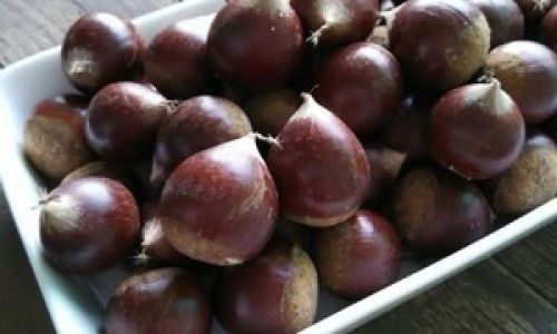 Mastering the Craft:How to Roast Chestnuts to Perfection at Home