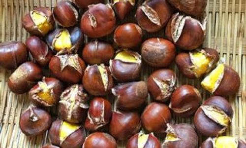 Mastering the Craft:How to Roast Chestnuts to Perfection at Home