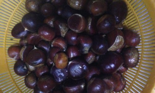 Effective Preservation Methods for Roasted Chestnuts:Extending the Delight of Autumns Bounty