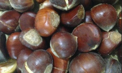 Effective Preservation Methods for Roasted Chestnuts:Extending the Delight of Autumns Bounty