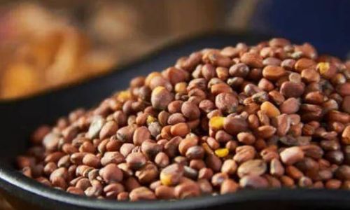 The Art of Stir-Frying Baizhu:A Comprehensive Guide to Traditional Chinese Herbal Preparation