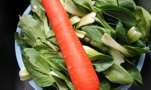 Unveiling the Mystery of Chuncai:The Beloved Vegetable in Chaoshan Cuisine