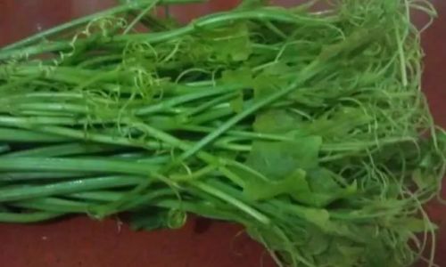Mastering the Art of Blanching Asparagus:The Perfect Timing for Culinary Excellence