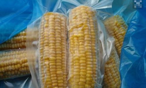 How Long Does Corn Last at Room Temperature?Storage Tips and Shelf Life Guide