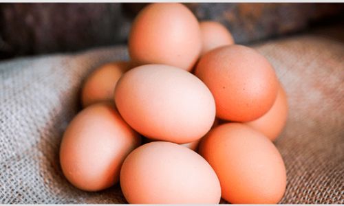 The Science Behind Shelf Life:How Long Can Eggs Be Safely Stored at Room Temperature?