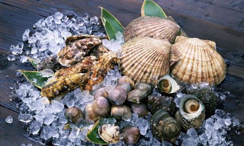 A Comprehensive Guide to the Most Common Types of Seafood Consumed Worldwide
