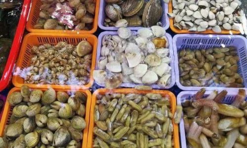 A Comprehensive Guide to the Most Common Types of Seafood Consumed Worldwide