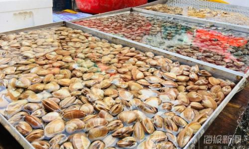 A Comprehensive Guide to the Most Common Types of Seafood Consumed Worldwide