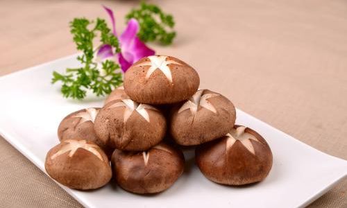 The Health Benefits and Cultural Significance of Regularly Consuming Mushroom-Based Foods