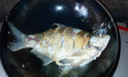 Mastering the Art of Cooking Pomfret Fish:Delicious Recipes and Expert Tips