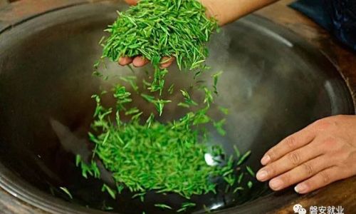The Art and Science of Tea Processing:A Comprehensive Guide to Pan-Frying Green Tea