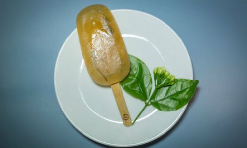 Crafting the Perfect Tea-Infused Ice Cream:A Step-by-Step Guide to Elevating Your Dessert Game
