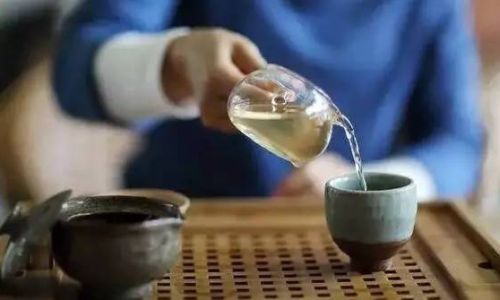 Key Considerations in the Growth Process of Tea Plants:From Cultivation to Harvest