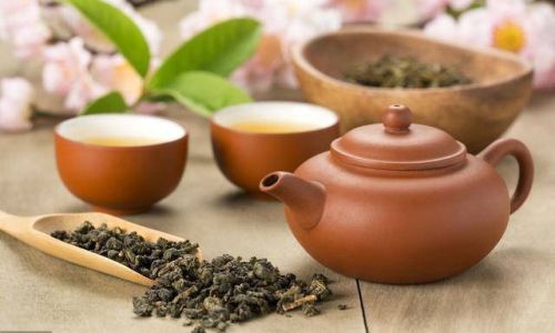Key Considerations in the Growth Process of Tea Plants:From Cultivation to Harvest