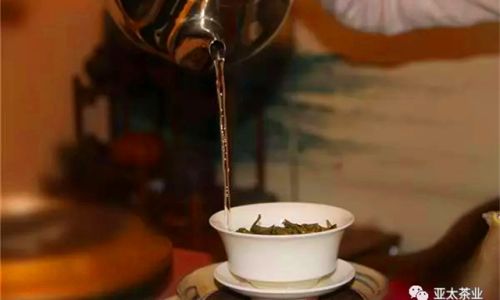 Key Considerations in the Growth Process of Tea Plants:From Cultivation to Harvest