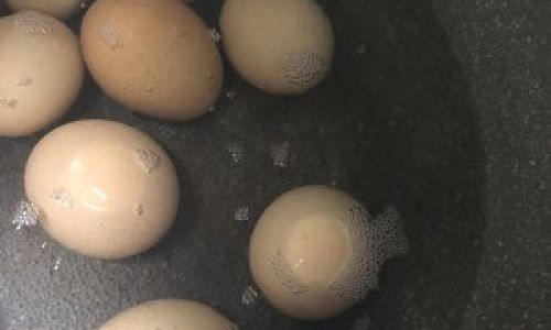 Mastering the Art of Crafting Perfectly Flavorful Tea Eggs:A Step-by-Step Guide