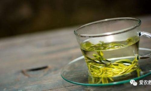 How Long Should You Let Tea Steep Before Using It to Water Plants:A Comprehensive Guide