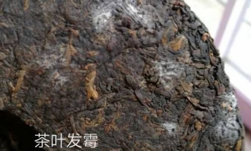Identifying Mold on Tea Leaves:A Comprehensive Guide to Detection,Health Risks,and Prevention