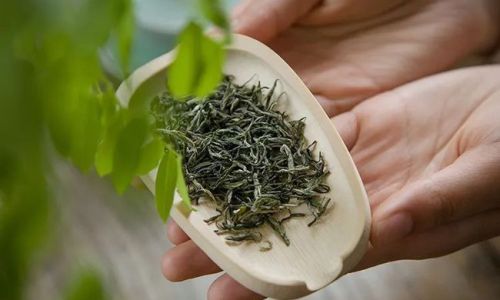 The Art of Preserving Tea:Essential Tips for Maintaining Freshness and Flavor