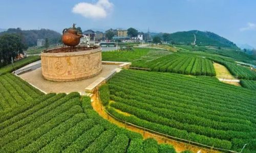 The Global Tapestry of Tea:Exploring the Worlds Most Renowned Tea-Producing Regions