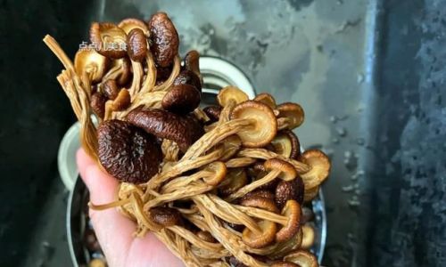 Culinary Delights:Mastering the Art of Cooking Tea Tree Mushrooms