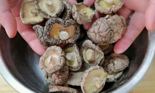 Mastering the Art of Soaking Tea Tree Mushrooms:Optimal Timing for Culinary Excellence