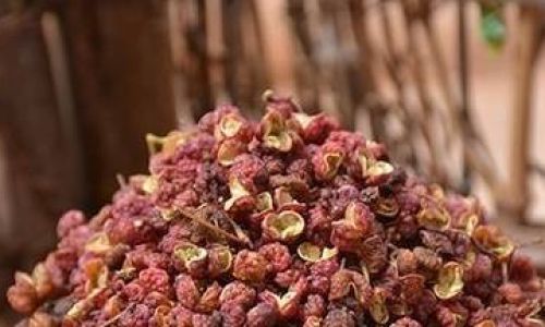 Mastering the Art of Soaking Tea Tree Mushrooms:Optimal Timing for Culinary Excellence