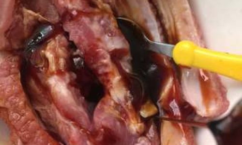Mastering the Art of Homemade Char Siu Pork Ribs:A Step-by-Step Guide to Sweet,Savory Perfection
