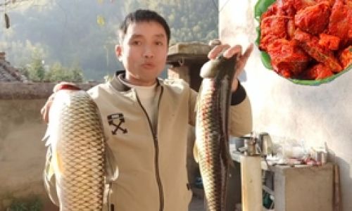 The Art of Curing Grass Carp into Traditional Chinese Cured Fish:A Step-by-Step Guide