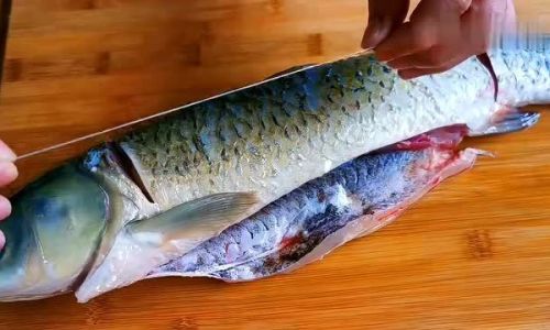 Mastering the Art of Cooking Grass Carp:Delicious and Aromatic Recipes to Savor