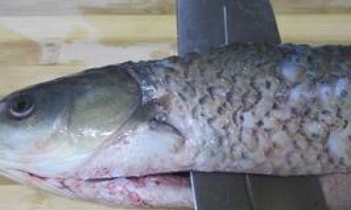 Mastering the Art of Slicing Grass Carp:A Comprehensive Guide to Precision and Technique