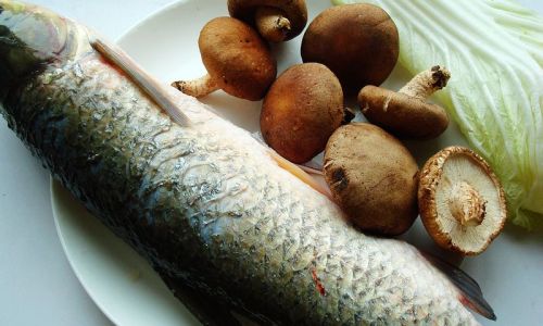 Mastering the Art of Cooking Delicious Grass Carp Chunks:A Comprehensive Guide