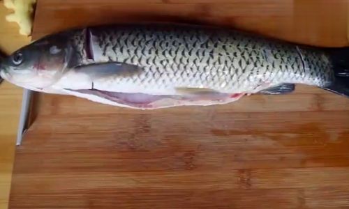 Creative and Delicious Ways to Prepare Grass Carp:A Culinary Guide