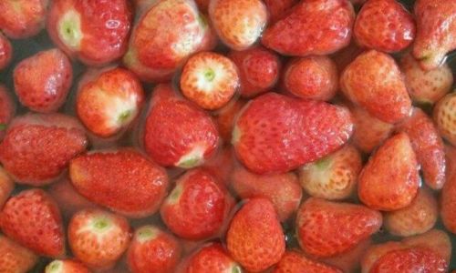 Optimizing Storage and Preservation Techniques for Strawberries in Warehouse Environments