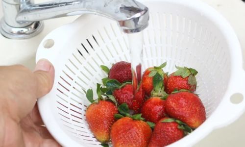 The Great Strawberry Storage Debate:To Refrigerate or Not to Refrigerate?