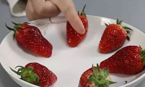 The Great Strawberry Storage Debate:To Refrigerate or Not to Refrigerate?