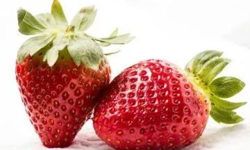 The Ultimate Guide to Preserving Strawberries:Tips and Tricks to Keep Them Fresh and Delicious