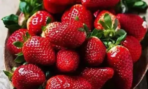The Science of Storing Strawberries:Can Refrigeration Extend Their Freshness?