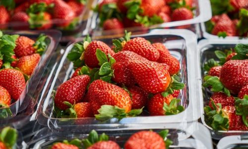 Preserving the Sweetness:Effective Methods to Extend the Shelf Life of Strawberries