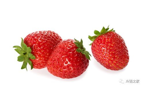 Preserving the Sweetness:Effective Methods to Extend the Shelf Life of Strawberries